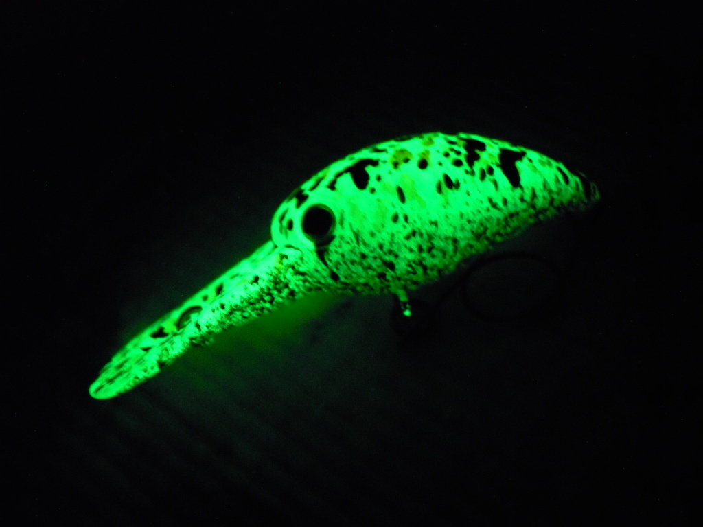 【ワイルドキャット】TIMON PaniCra DR ティモン パニクラ DR Ca-00190 _2