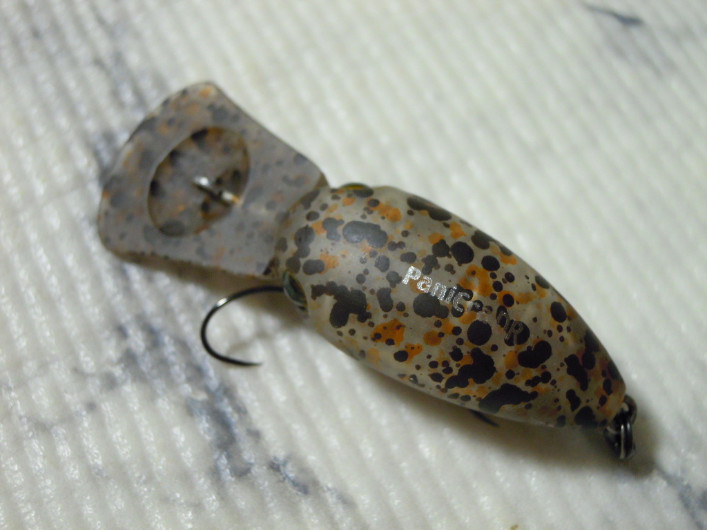 【ワイルドキャット】TIMON PaniCra DR ティモン パニクラ DR Ca-00190 _4