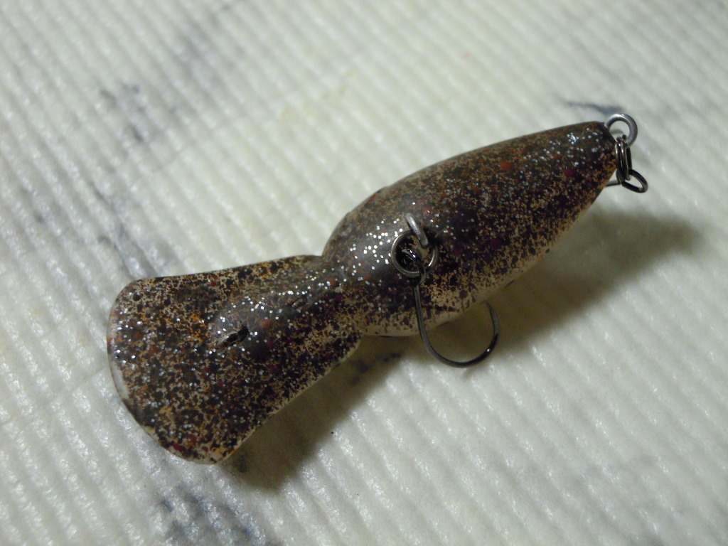 【ワイルドキャット】TIMON PaniCra DR ティモン パニクラ DR Ca-00190 _5