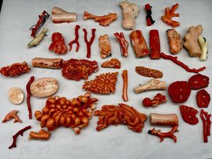 本珊瑚の値段と価格推移は？｜1682件の売買データから本珊瑚の価値が