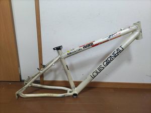 ルイガノ　XC RACE