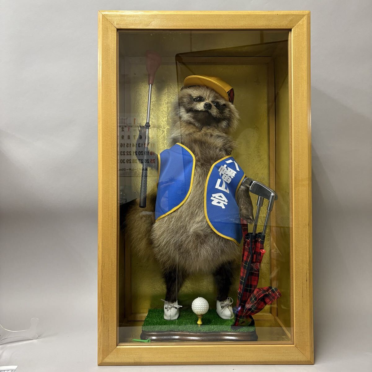 たぬき 剥製の値段と価格推移は？｜4件の売買データからたぬき 剥製の