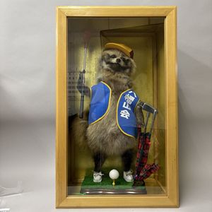 たぬき 剥製の値段と価格推移は？｜4件の売買データからたぬき 剥製の