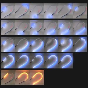 アイスブルー アンバー 新型 ビギニングリアクション 側面発光 LEDシーケンシャルウイン