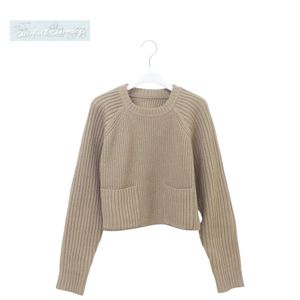 Hella ヘラ クロップドリブ編みニットプルオーバー F ベージュ ウールナイロン