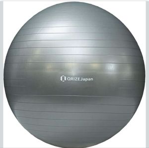 バランスボール　サイズ　L　（直径約65cm～75cm)　色：グレー