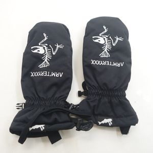 中古 23/24 SALMON ARMS CLASSIC MITT グローブ UNISEX Mサイズ スノーボードグローブ サ