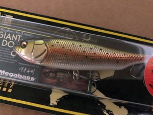 限定　メガバス　ジャイアントドッグエックス WAGIN NIJI　GIANTDOG-X