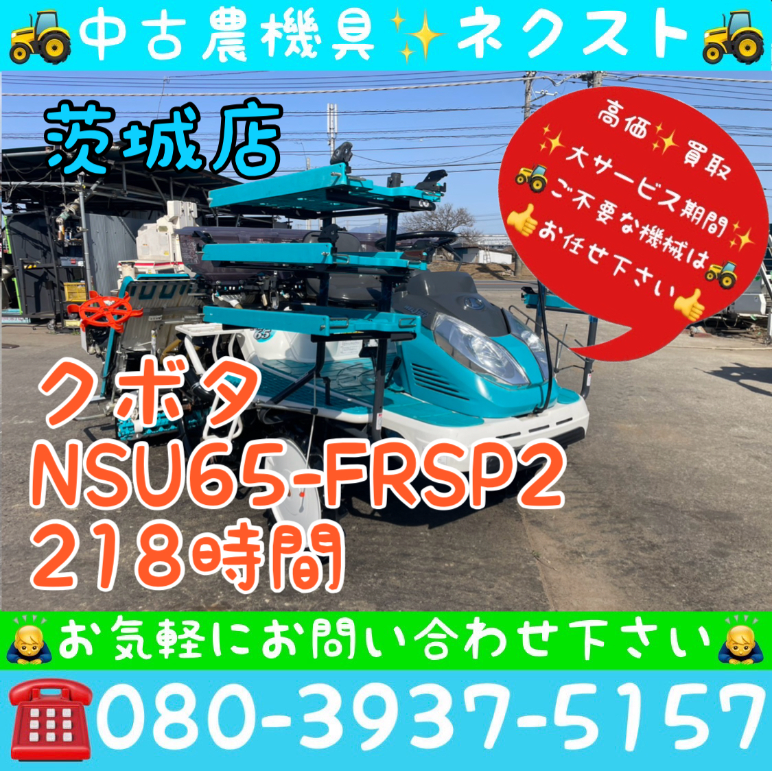 箱まきちゃんの値段と価格推移は？｜11件の売買データから箱まきちゃん