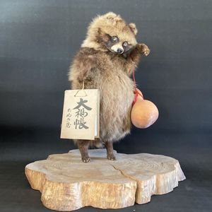 たぬき剥製の値段と価格推移は？｜1件の売買データからたぬき剥製の 