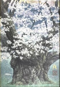 広森雄　桜　越天楽 広森雄の値段と価格推移は？｜3件の売買データから広森雄の価値が