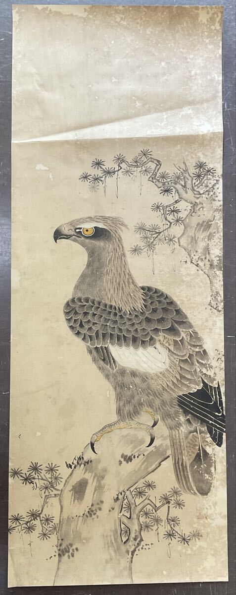 S4 真作 掛軸 まくり 捲り 屏風 松 鷹図 鷹 鳥絵 在銘 日本画(掛軸