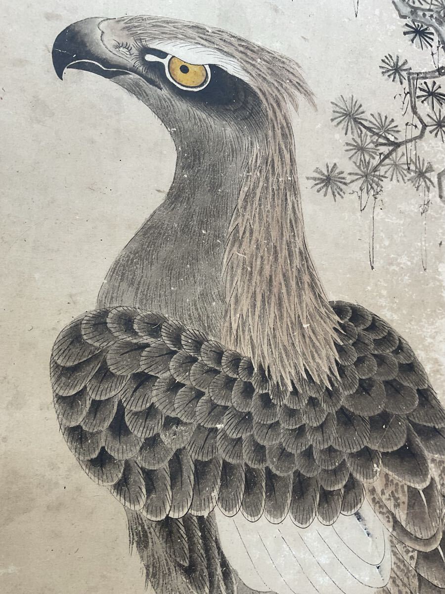 S4 真作 掛軸 まくり 捲り 屏風 松 鷹図 鷹 鳥絵 在銘 日本画(掛軸