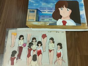 浅倉南の値段と価格推移は？｜50件の売買データから浅倉南の価値が