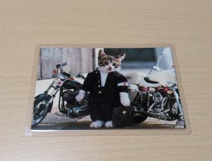 なめ猫 カードの値段と価格推移は？｜29件の売買データからなめ猫