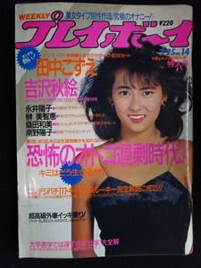 南野陽子ピンナップの値段と価格推移は？｜4件の売買データから南野