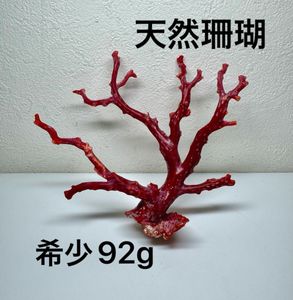 珊瑚 原木の値段と価格推移は？｜167件の売買データから珊瑚 原木の