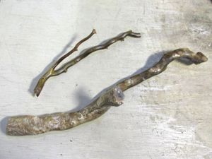 海松 珊瑚の値段と価格推移は？｜31件の売買データから海松 珊瑚の価値