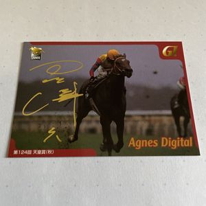 競馬トレーディングカード サラブレッド 2001年 サラブレッドカード2001の値段と価格推移は？｜11件の売買データから