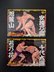 千代大海の値段と価格推移は？｜4件の売買データから千代大海の価値が