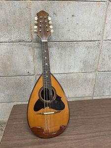 マンドリン 228 SUZUKIの値段と価格推移は？｜7件の売買データから
