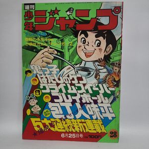少年ジャンプ1973の値段と価格推移は？｜32件の売買データから少年