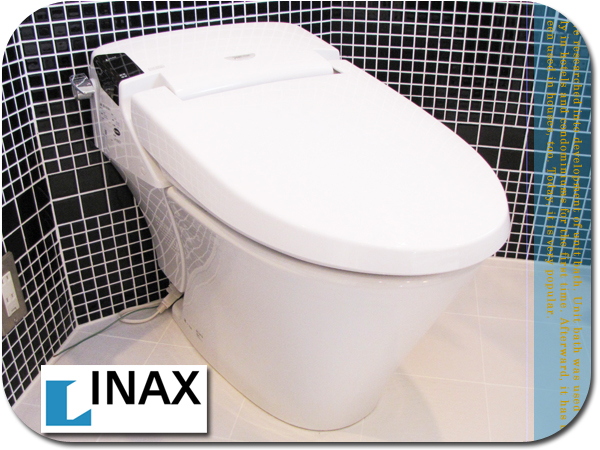 E605 展示品 Inax シャワートイレ Dv 113x 15万 便器 売買されたオークション情報 Yahooの商品情報をアーカイブ公開 オークファン Aucfan Com