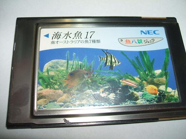 Nec魚八景 ジュニアカード 海水魚17 南オーストラリア その他 売買されたオークション情報 Yahooの商品情報をアーカイブ公開 オークファン Aucfan Com