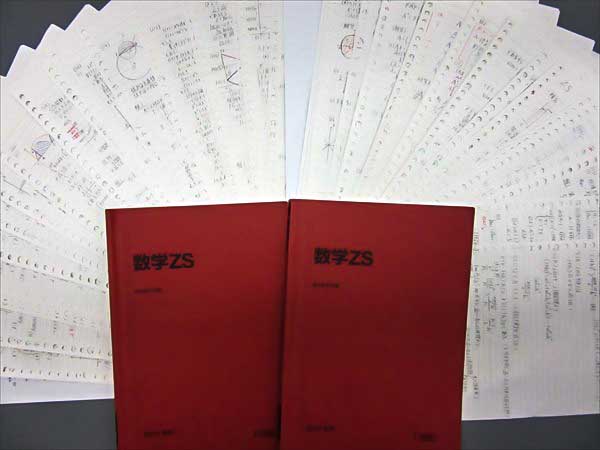 DN01-018 駿台 数学ZS 2013 前期 後期 計2冊 東大京大医学部