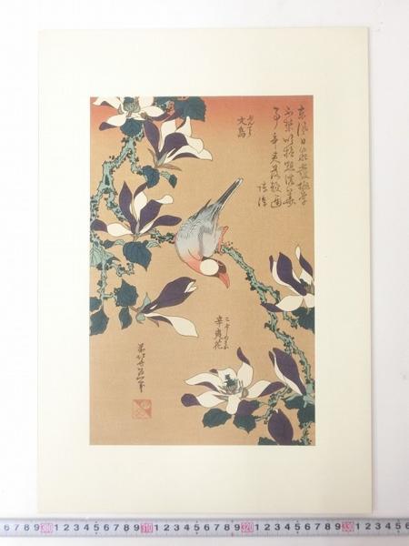 K03852葛飾北斎 文鳥と辛夷 錦絵 浮世絵 木版画 花鳥画(浮世絵、版画