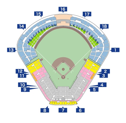 10/16(金) ヤクルト 対 読売 巨人 外野B ライト 通路側 ペア席