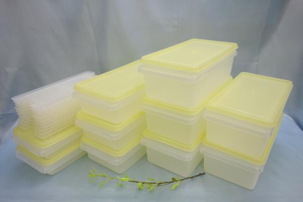 オークション追加用 送料無料，正規品 ☆タッパーウェア◇SSセット10個/黄(すのこ10個付)