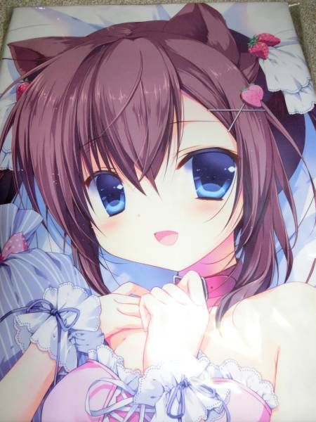 CANVAS+GARDEN 宮坂みゆ 抱き枕カバー | - 駿河屋 宮坂 メルカリ 