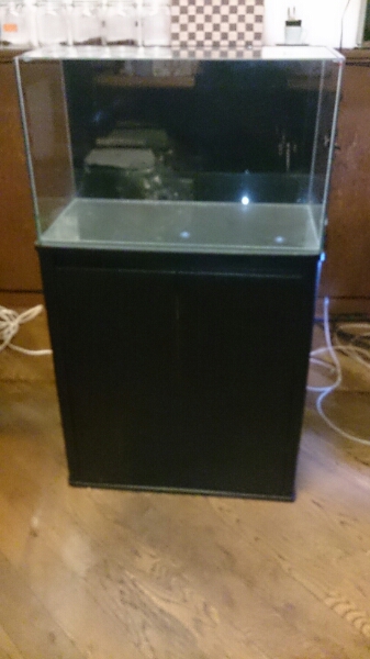 【売切】コトブキ プロスタイル600L＆60cm水槽セット