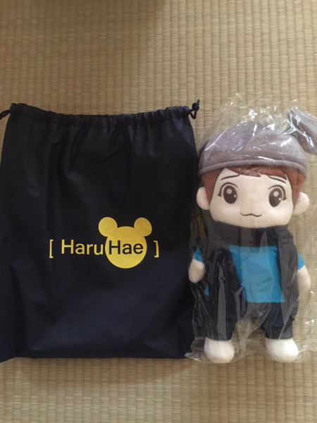 SUPER JUNIOR ドンへ ぬいぐるみ : DOLL 25cm ALIVE DONGHAE
