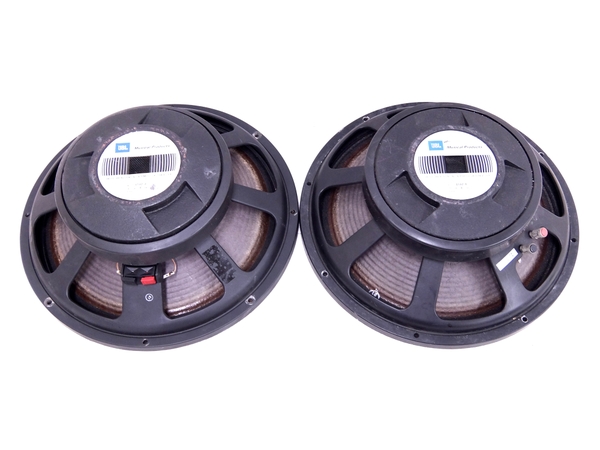 ジャンク JBL E140 8 38cm コーン型 ウーファー ペアT1842624