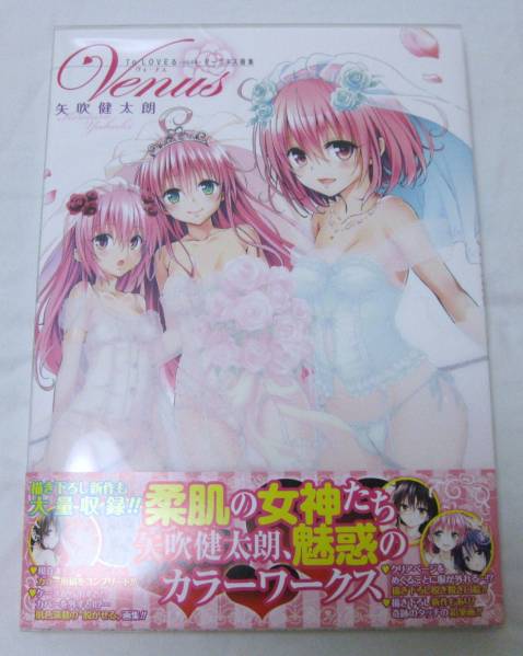 未開封 To LOVEる－とらぶる－ダークネス画集Venus （愛蔵