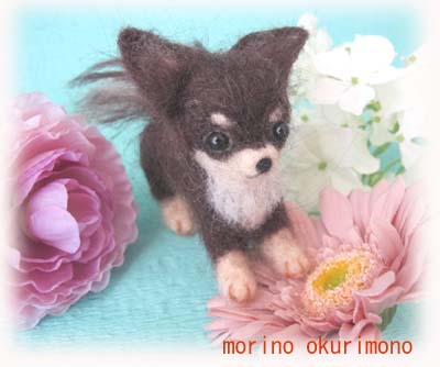☆羊毛フェルトの犬　チョコタン　チワワ　♪