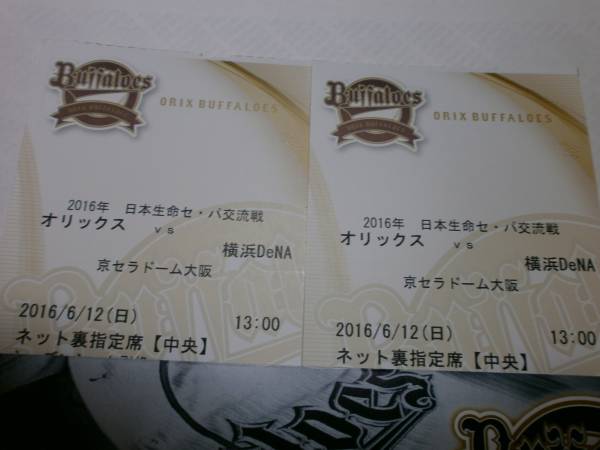 ６/１２(日）オリックスvs横浜DeNAネット裏指定中央２連番