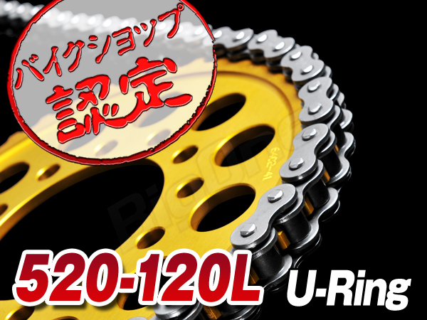 チェーン 520-120L Oリング RGV250γ SV400 SG250 グース ST250E