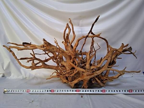 2[新品 アーチ形]ブランチウッド☆大型 枝振多数 水槽 レイアウト 天然