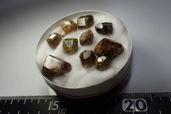 TC国産鉱物 長野県産 栗生鉱山 灰鉄柘榴石（超美）結晶！！(原石
