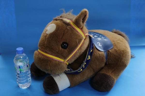 希少 特大 ぬいぐるみ 第44回有馬記念 優勝 グラスワンダー_1
