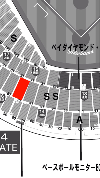 オールスター第2戦2016★SS指定3塁ペア①★横浜スタジアム7/16土