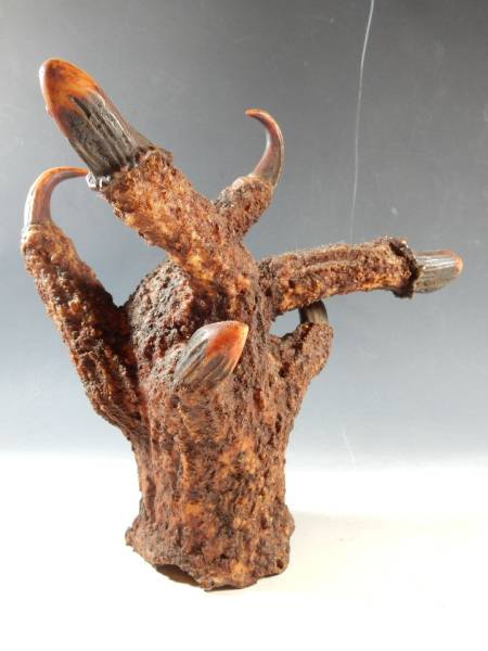 珍品　角　鹿　剥製　犀角　象牙　漢方　根付　標本　頭骨