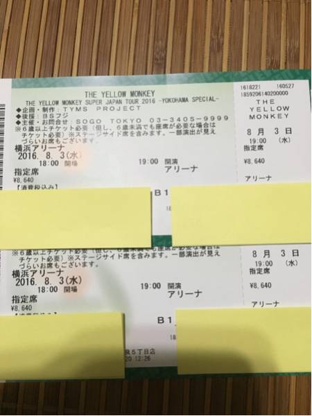 THE YELLOW MONKEY 8/3アリーナB 10～20列ペアチケット