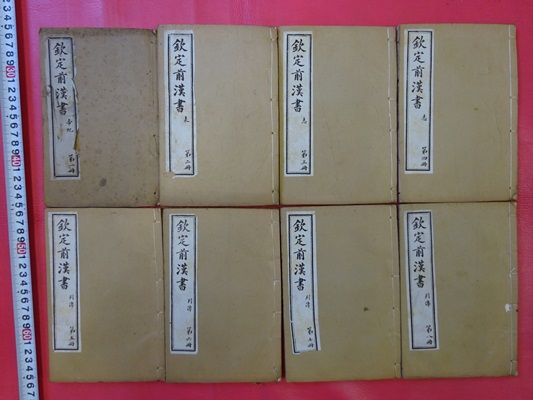 「欽定前漢書」8冊 唐本中国古書漢籍歴史 シミAD118