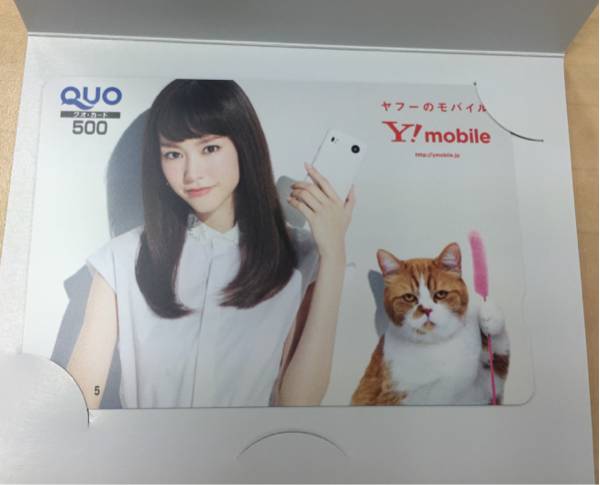ワイモバイル Y!mobile 桐谷美玲 クオカード QUO非売品 送料無料