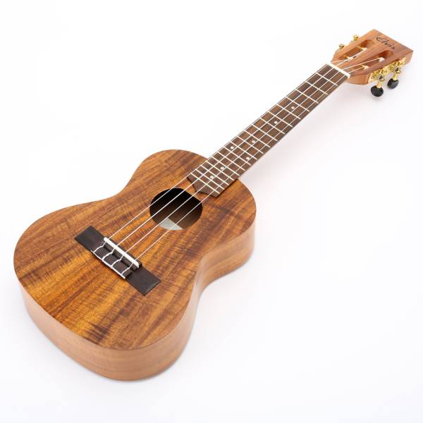 【新品1円】ELVIS・ハワイアンコア・ コンサート ウクレレ 美木