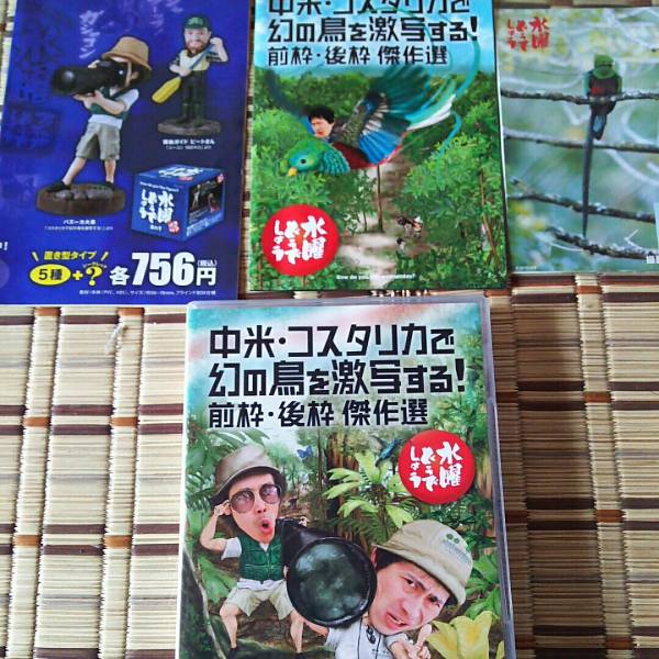 超人気作 水曜どうでしょう コスタリカ編 人気海外企画